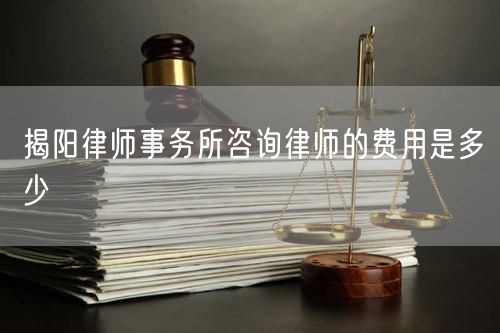 揭阳律师事务所咨询律师的费用是多少