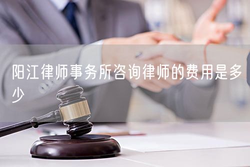 阳江律师事务所咨询律师的费用是多少