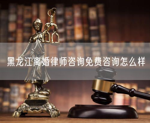 黑龙江离婚律师咨询免费咨询怎么样