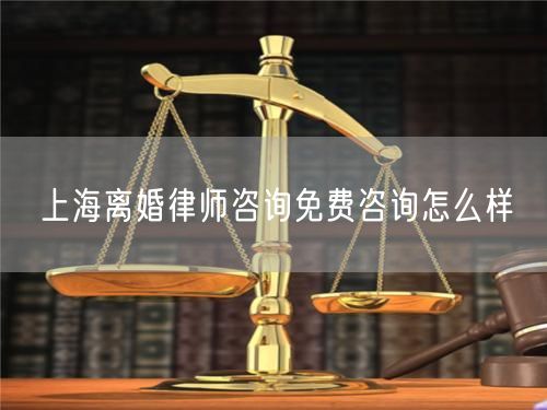 上海离婚律师咨询免费咨询怎么样